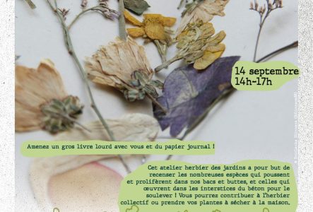 Flyer de l'atelier herbier aux Jardins de la Jonction