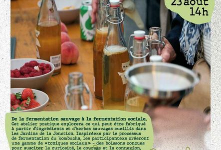 ©jardins de la jonction Affiche Kombucha Symbiosis