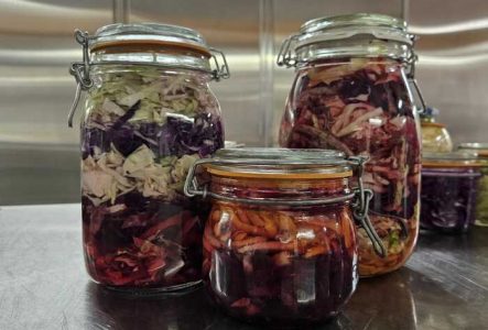 Bocaux en fermentation