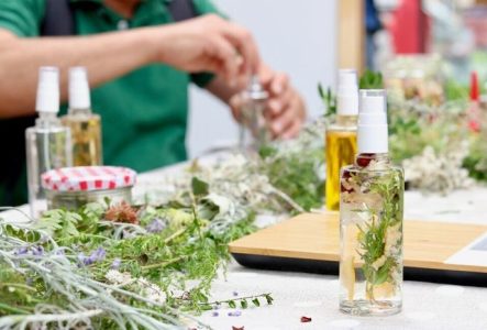 Table sur laquelle sont posés des plantes et des flacons