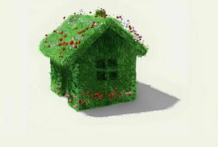 DR Petite maison entièrement recouverte d'herbe et de fleurs