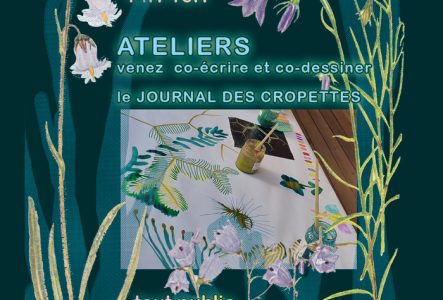 flyer recueil