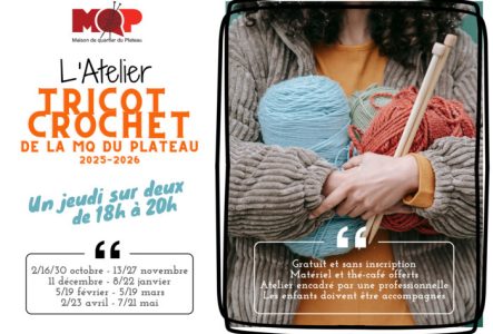 Pelotes de laine et aiguilles