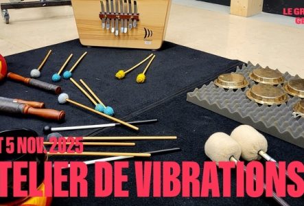 Atelier de vibrations le 4 et 5 novembre