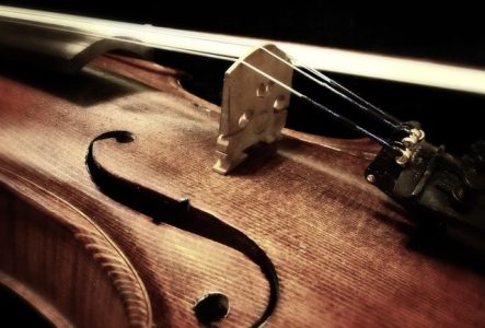 Violon