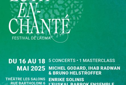 DR FLYER DU FESTIVAL
