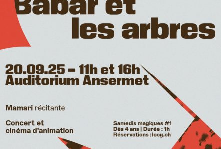 Affiche du concert