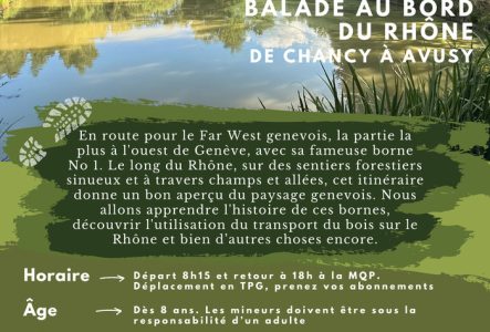 Rive du Rhône et forêts