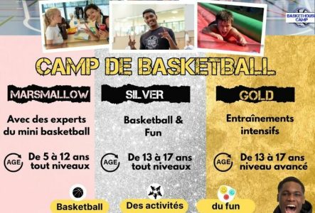 Baskethouse Photo de joueurs de basket, descriptif des camps par âge