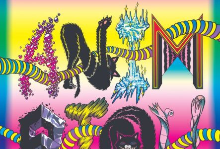 Affiche de Animatou : les lettres dessinées façon psychédélique, très coloré