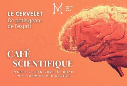 Cerveau orange pour le Café Scientifique de Meeting for Minds — on voit bien le cervelet, cette petite structure à l'arrière du crâne