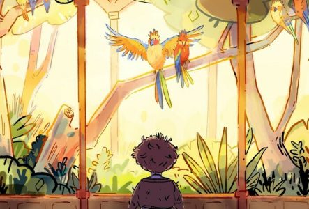 Image extraite du film court: À la bonne place ! de Meinardas Valkevičius Illustration d'un enfant de dos devant une fenêtre donnant sur une forêt avec des perroquets dans les arbres.