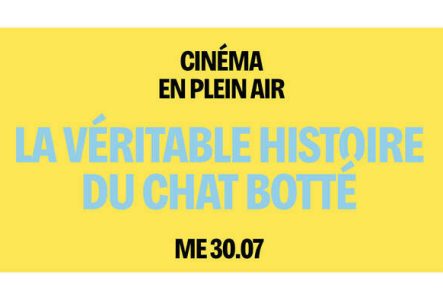Sur fond jaune, le titre est écrit en gras et en bleu