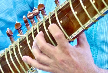 Une main sur un manche d'instrument à cordes