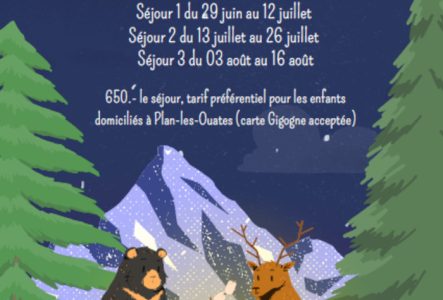 l'image représente un environnement de montagnes avec des sapins un ours brun et un cerf avec deux petits enfants animaux : une souris et un lapin autour d'un feu de camp.