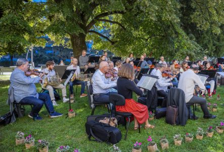 L’Orchestre de Chambre de Genève sous un arbre