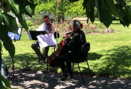 musiciens en plein air