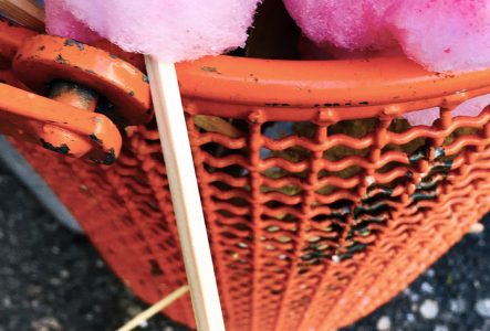 Ce sont des barbapapas jettés dans la poubelle. Ils sont rose.