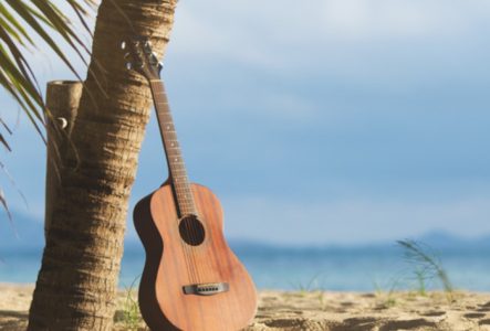 DR Une guitare appuyée à un cocotier sur une plage