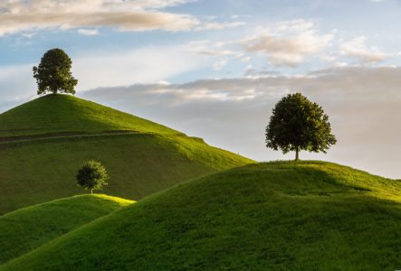 Un photo en couleur qui représente 3 collines et 3 arbres sur chaque sommet
