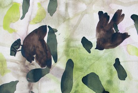 Aquarelle représentant des oiseaux bruns. Des taches vertes sapins et vertes citron forment le fond.
