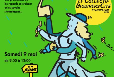 Un personnage va de l'avant menu d'un arrosoir , de fleur, de vers de terre, suivi d'un papillon tout cela sur un fond vert avec quelques gouttes de pluies parsemées de ci de là. Plus un rond qui figure lui le soleil ou le nom du Collectif est inscrit. De plus il y a un texte de présentation que voici ainsi que les liens d'inscription et les logos des partenaires : Au cœur de Plainpalais
au fil des pas et des échanges
Venez explorer sa biodiversité :
de la faune discrète aux secrets des arbres…