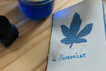 Une photo en couleur qui représente un carnet de croquis sur lequel un arbre est dessiné à l'encre bleue.