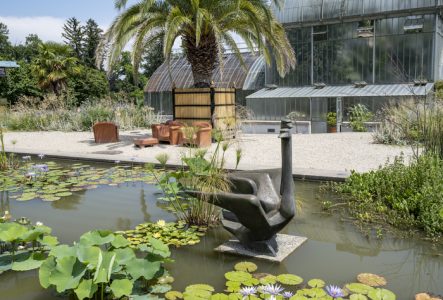 Bassin avec une sculpture "Les cygnes,1968, sculpture en bronze de Willy Georges Vuilleumier, (1898 - 1983)" et en arrière plan le jardin d'hiver