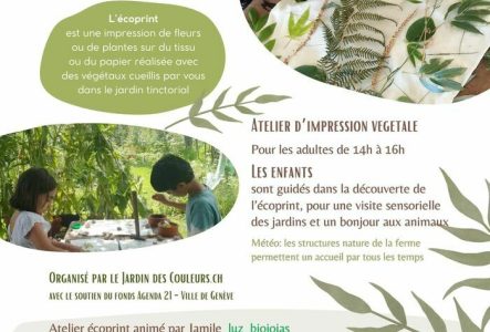 Jaky Roland Dépôt de feuilles sur du tissu pour créer une emprunte végétale. Des enfants au jardin