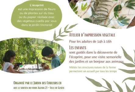 Jaky Roland Dépôt de plantes sur du tissu pour réaliser une impression végétale. Deux enfants dans un atelier créatif qui se déroule dans un jardin.