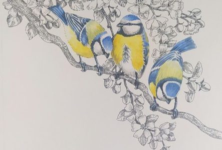 Une illustration en couleur qui représente des mésanges sur une branche d'arbre.