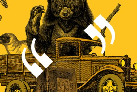 Illustration d'un ours sur une camionnette, avec des papillons autour, et des guillemets blanc