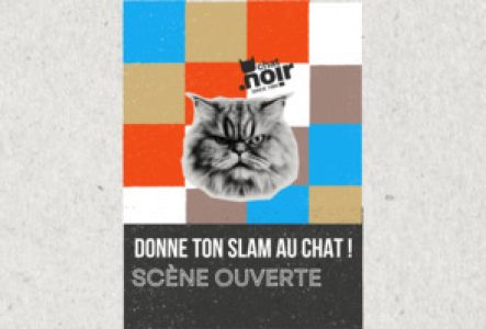 Une affiche colorée avec un chat au poils longs qui a l'ait fâché.