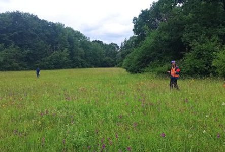 Travail de monitoring de la flore sur le terrain