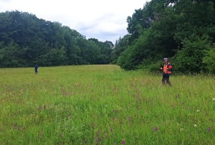Travail de monitoring de la flore sur le terrain