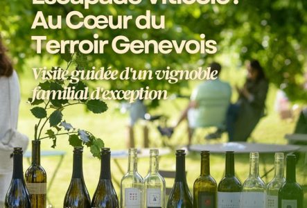 Vignette promotionnelle de l'Alliance Française de Genève montrant une rangée d'une dizaine de bouteilles de vin (blancs, rouges et rosés) alignées sur une table en bois en extérieur. En arrière-plan flou, des personnes sont assises dans un parc verdoyant et ombragé par de grands arbres. Le logo de l'Alliance Française de Genève - Suisse apparaît en bas à gauche. En haut, le texte principal annonce : « Escapade Viticole : Au Cœur du Terroir Genevois », suivi du sous-titre en italique : « Visite…