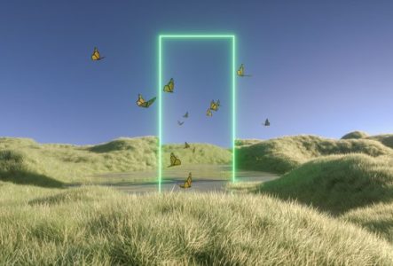 Une porte lumineuse dans un champ par laquelle passent des papillons