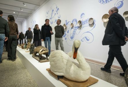 Visuel de l'exposition