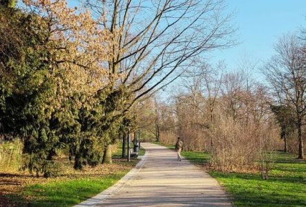 Photographie de la promenade Nicolas bouvier