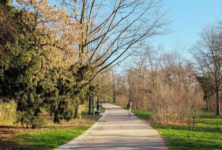 Photographie de la promenade Nicolas bouvier