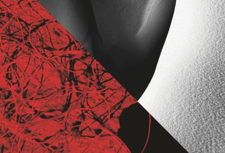 Oeuvres des artistes