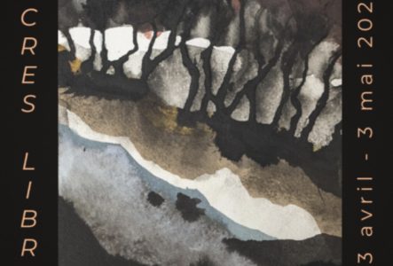 paysages imaginaires à l'encre de chine