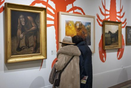 Visuel de l'exposition