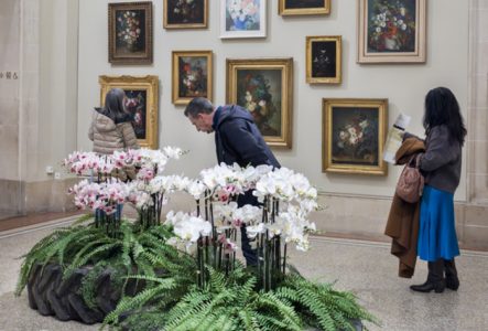 Visuel de l'exposition