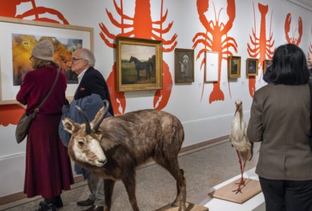 Visuel de l'exposition