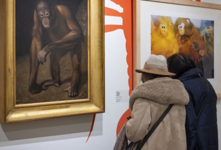 Visuel de l'exposition