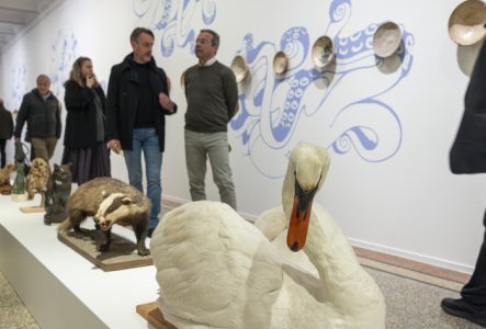 Visuel de l'exposition