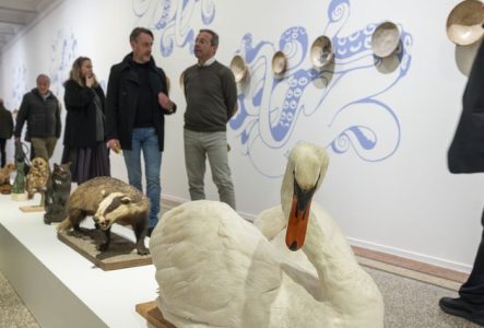 Visuel de l'exposition