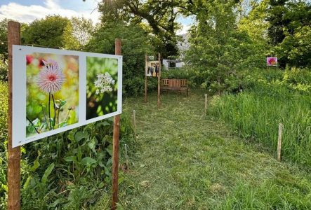 Jardin des Nations Jardin des Nations