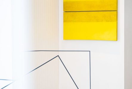 Exposition "Transparences, saison II" des artistes Fanny Gagliardini et Mireille Fulpius